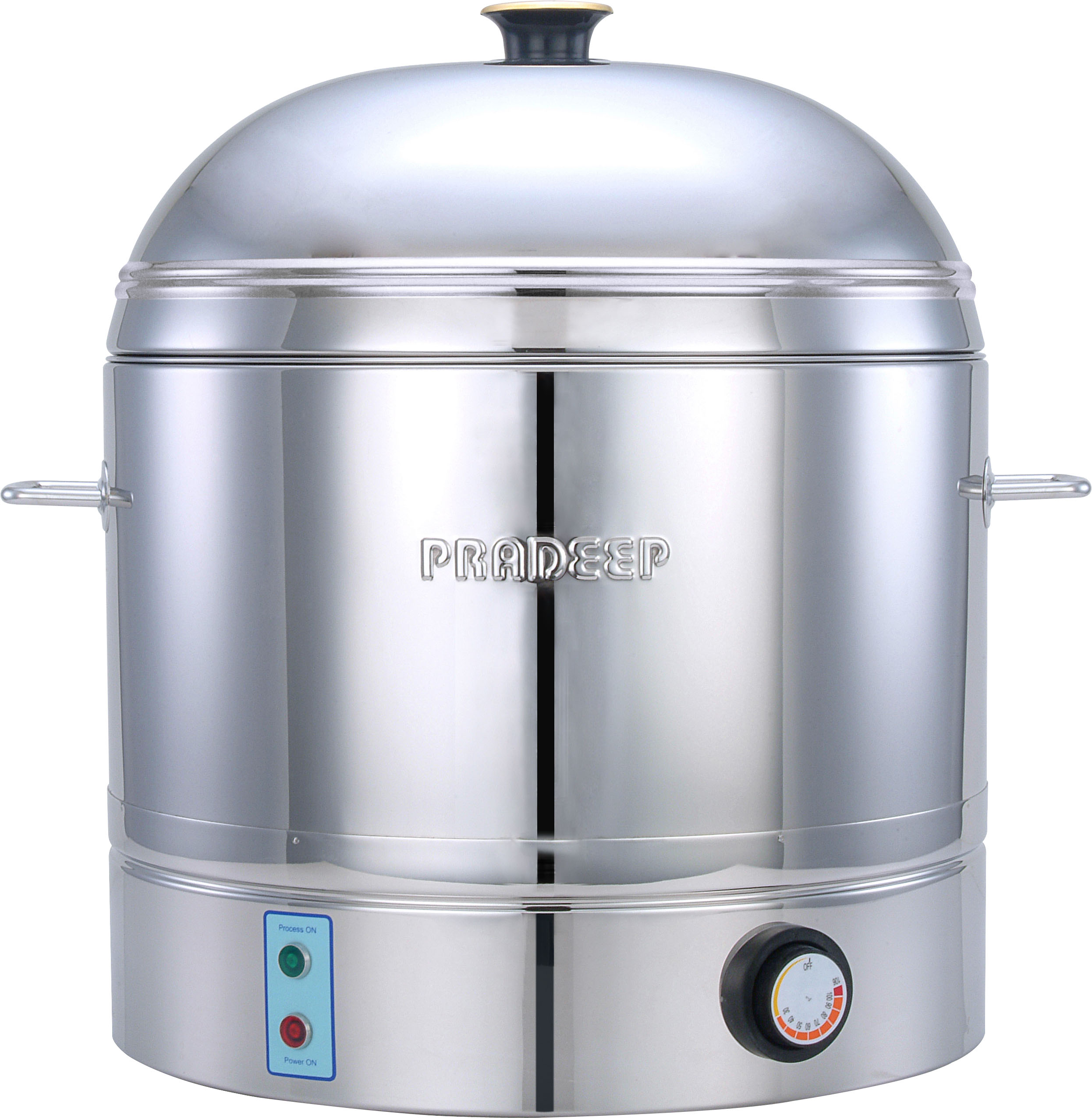 Electrical Steamer
